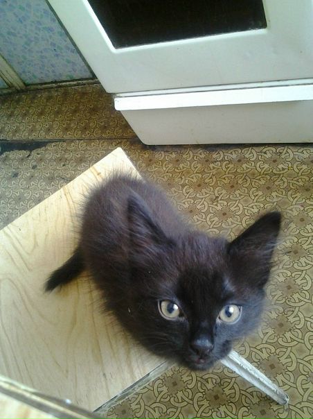 №120, Ваня Чирков, Омск №120, Ваня Чирков, Омск