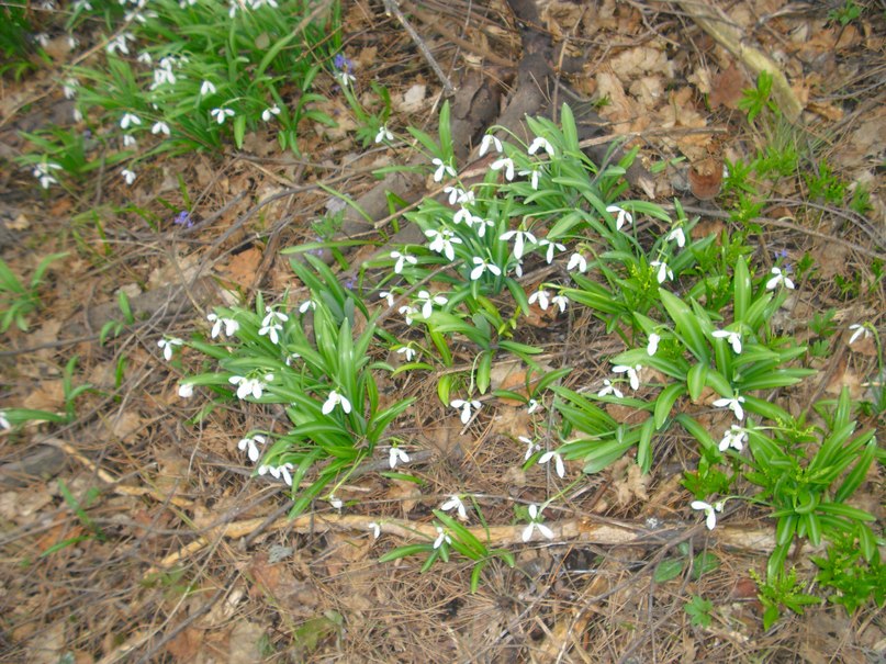 Роман Дашко __ÑøøÃ__ | Ялта