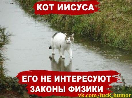 №8, Максим Рудыка №8, Максим Рудыка