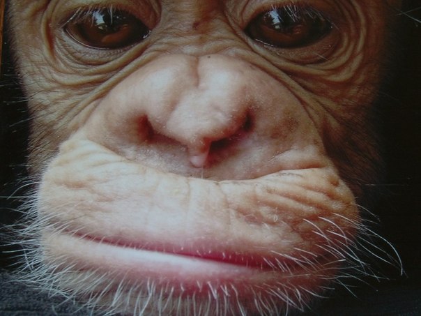 Иван Галушко | Минск