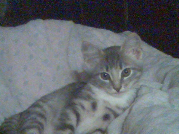 №16, Александр Александров №16, Александр Александров