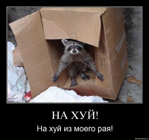 №168, Любовь Матюха, Санкт-Петербург №168, Любовь Матюха, Санкт-Петербург