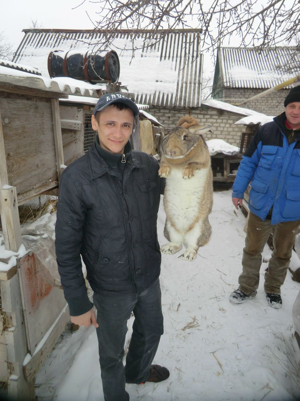 Виктор Видченко | Ростов-на-Дону