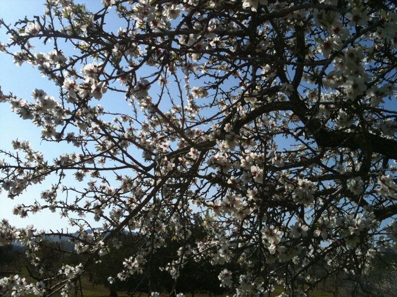 Серафима Шароватова | Санкт-Петербург