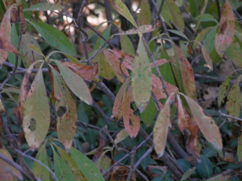 №82, Наталья Фиртич, Краснодар, Россия №82, Наталья Фиртич, Краснодар, Россия