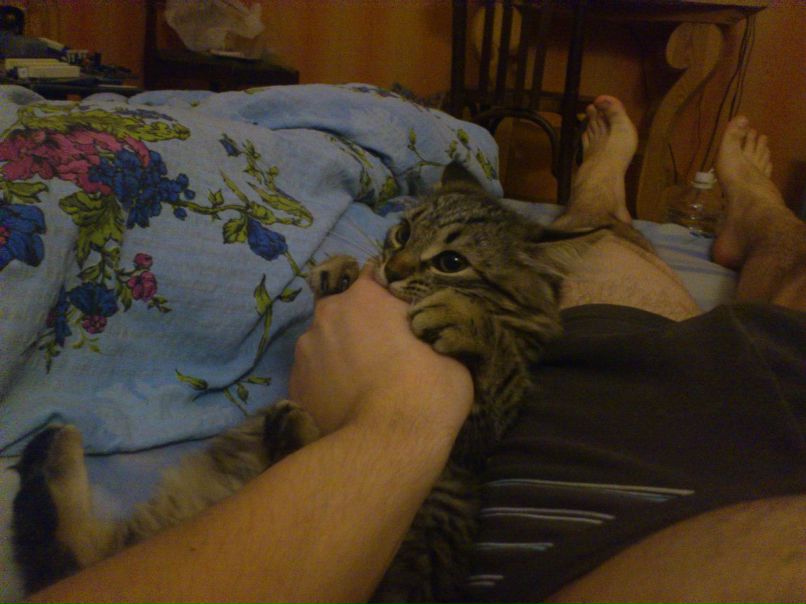 Blur Frontier Hostile | Berlin