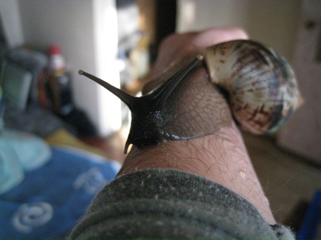 Олеся Тищенко | Электросталь