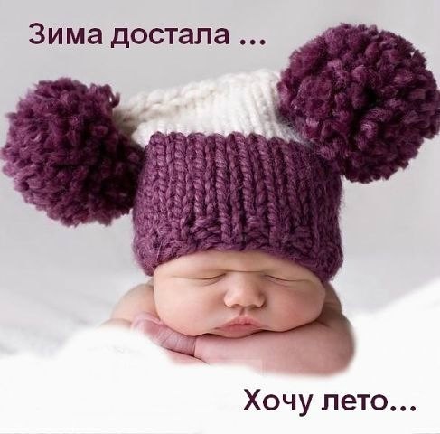 Бельчёнок Йя | Москва