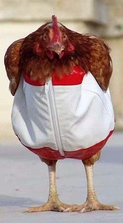 Катюня Анашкина | Медвежьегорск