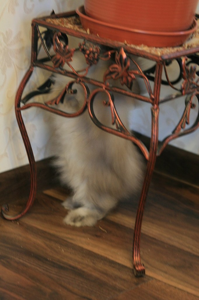 Елена Кузнецова | Санкт-Петербург