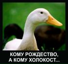 №26 Иван Вениаминович 11.01: профиль, фото, статус - ВКонтакте