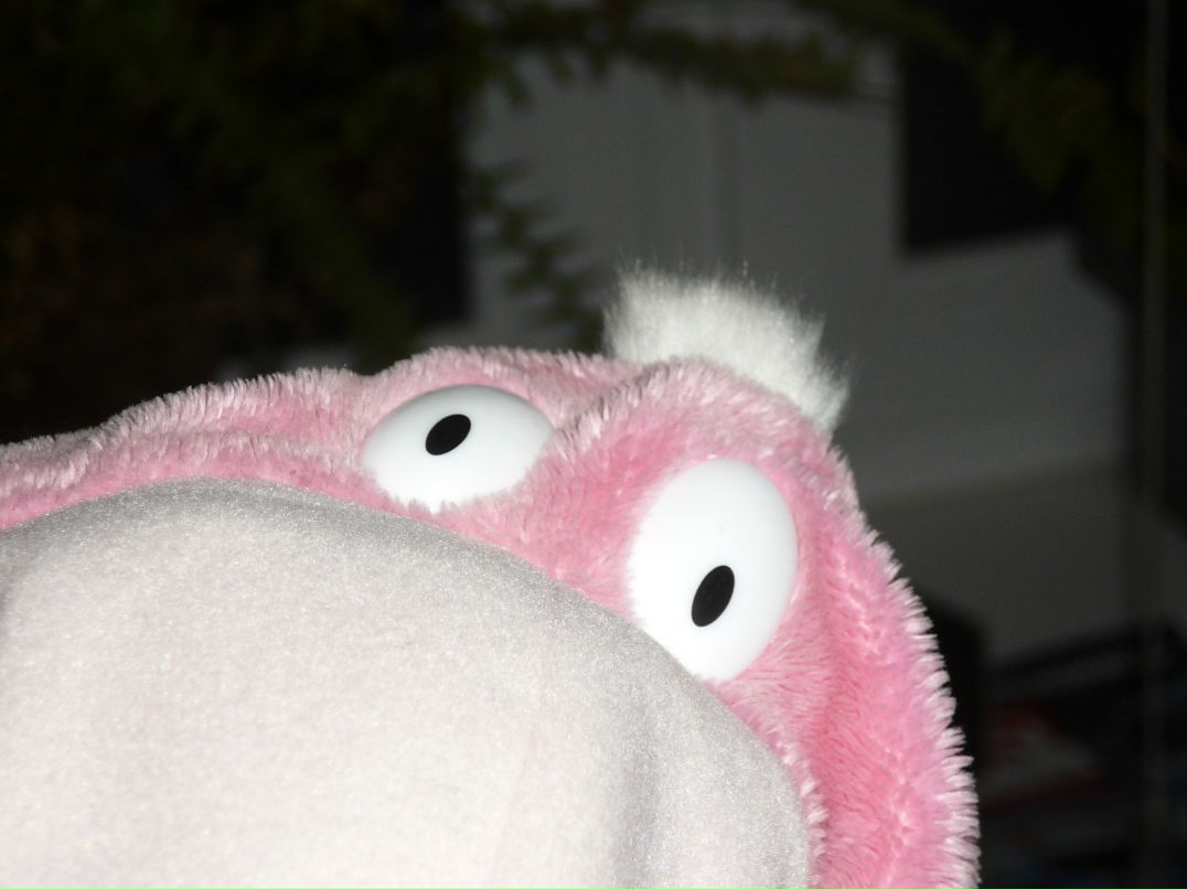 Кирилл Бобарыко Devnull | Санкт-Петербург