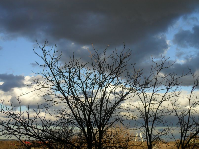 Ольга Модина | Гомель