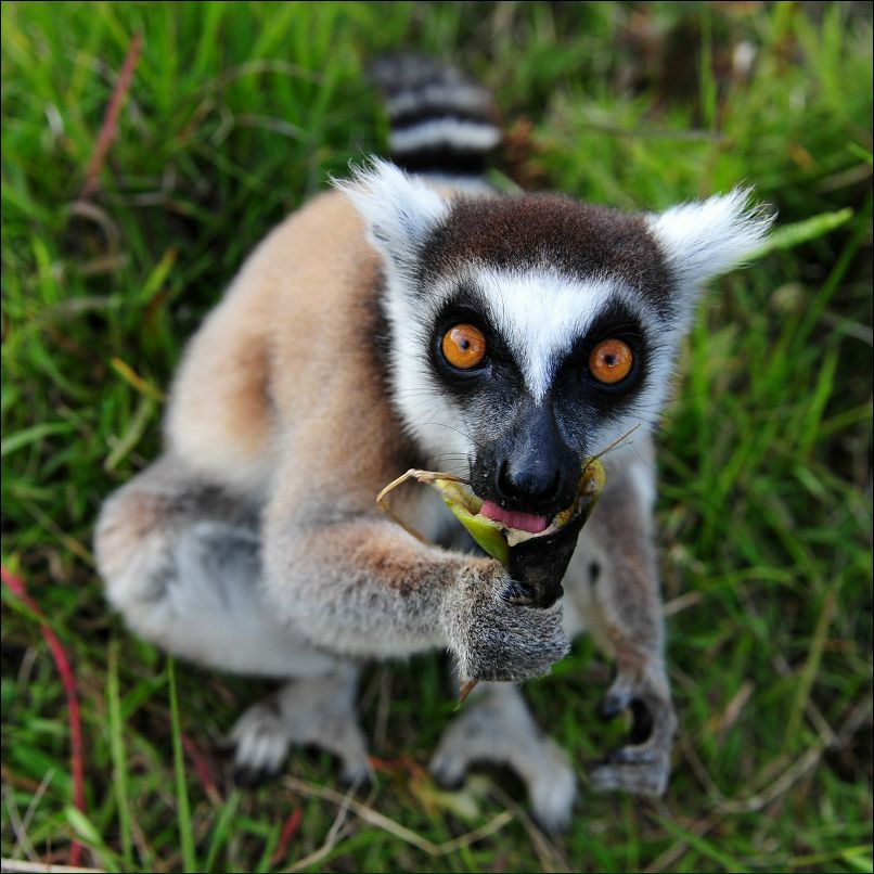 Михаил Карамышев | Москва