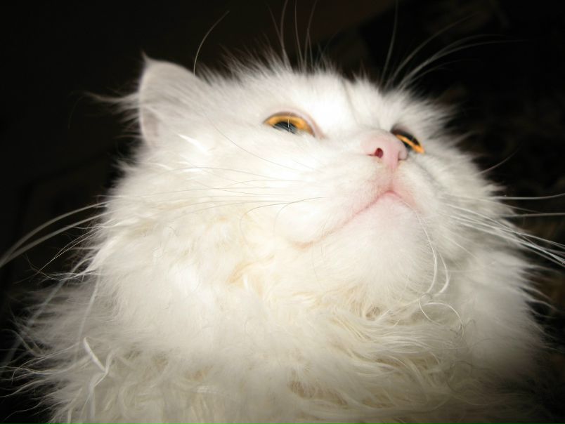 №48, Анна Юдченко, 36 лет, Днепр (Днепропетровск) №48, Анна Юдченко, 36 лет, Днепр (Днепропетровск)