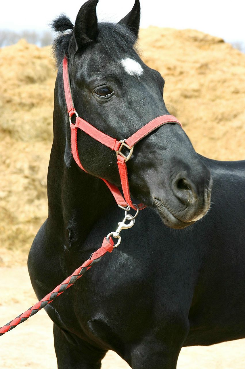 Лена Ткачук | Киев