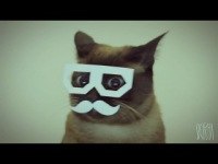 Влад Попов | Луховицы