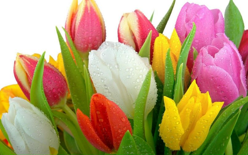 Аня Грудинина | Уфа