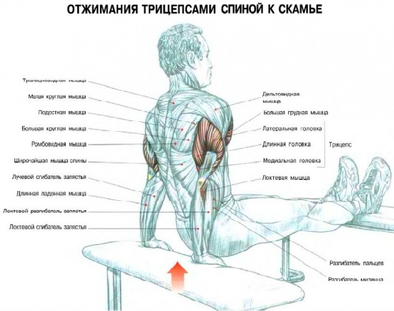 Evgenij Tsepoto | Москва