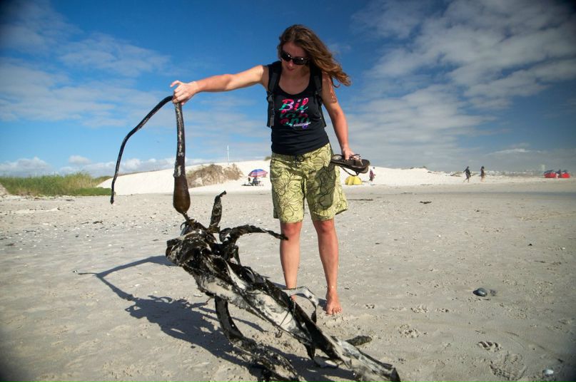 Светлана Сеничева | Москва