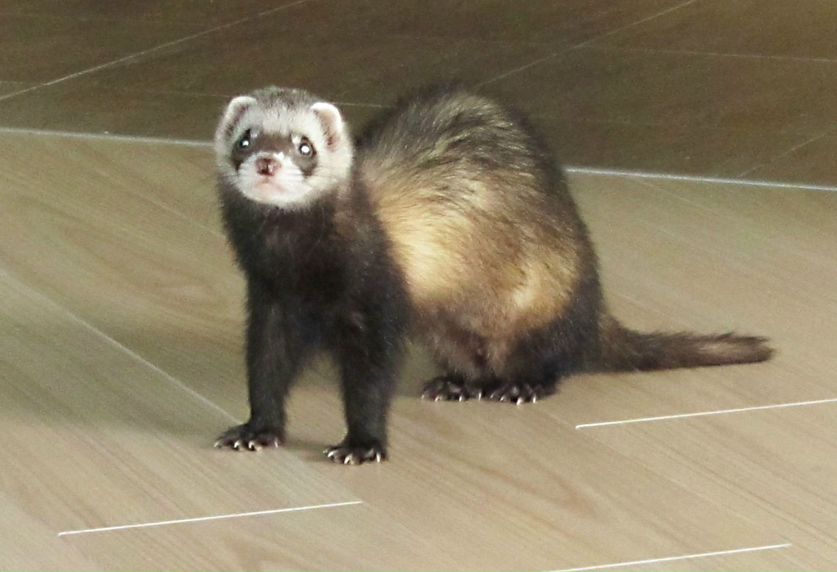 Алексей Андронов | Москва