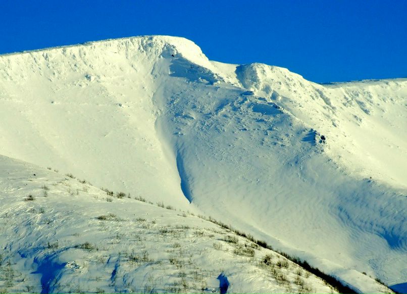 Евгений Степаненко | Череповец