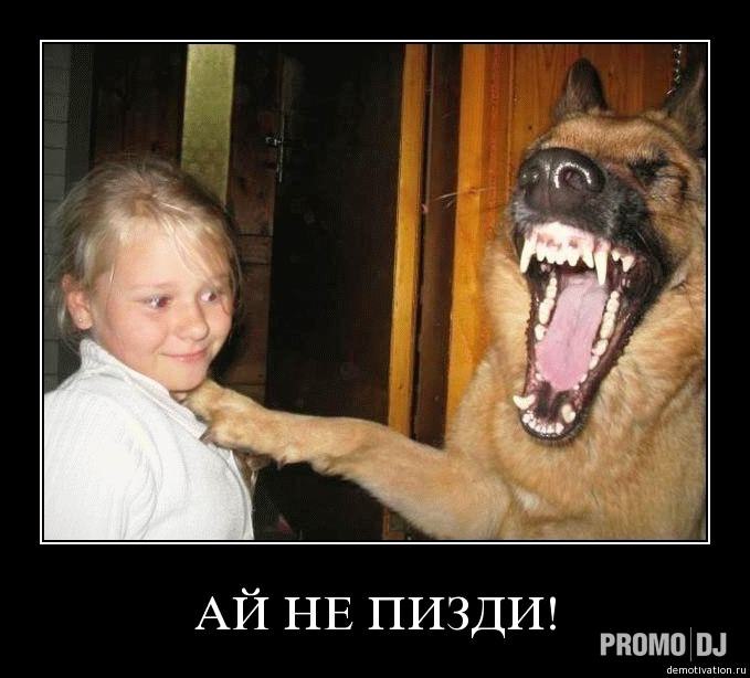 Олег Stillkill | Тула