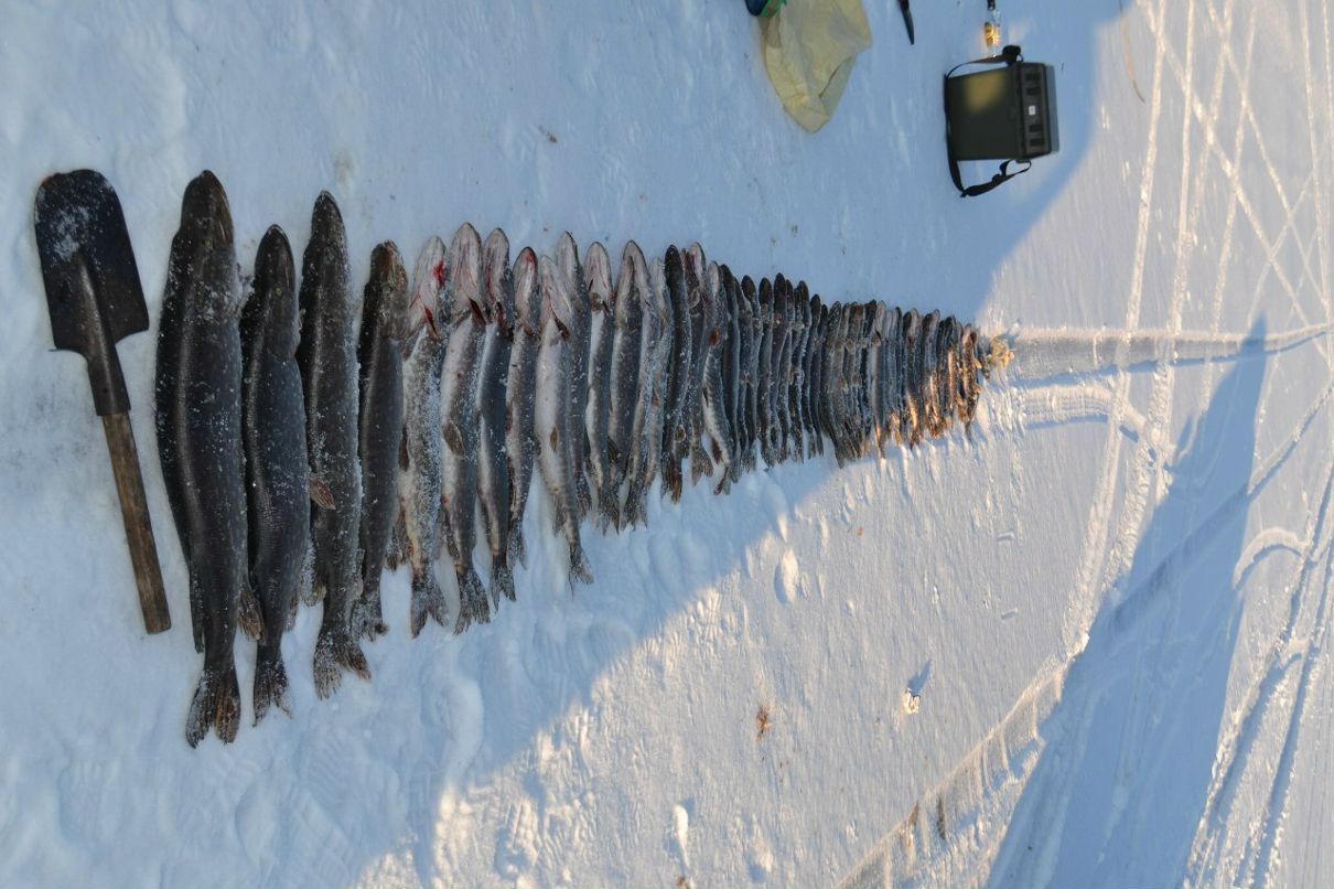 Михаил Ушаков | Санкт-Петербург