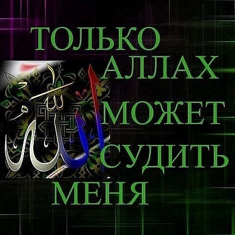 Sami A.S.A.Z | Винница