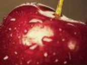 Oksana Schoch | Черновцы