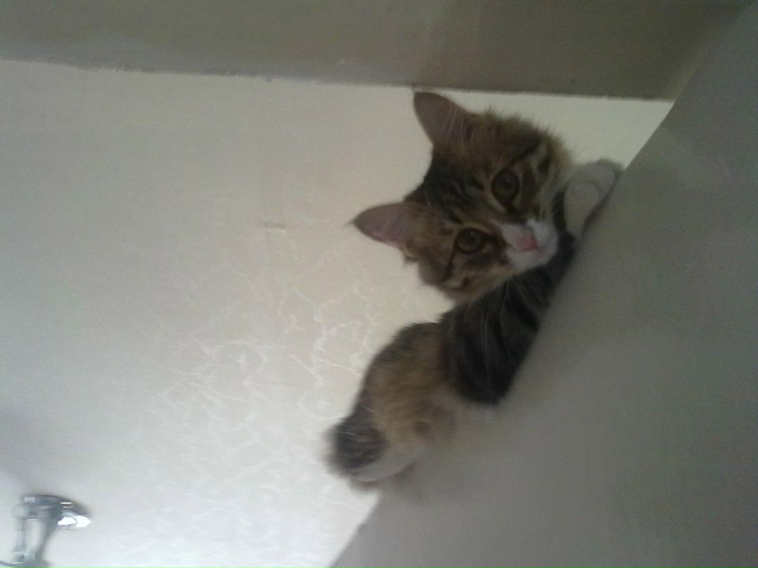 Юля Клипова | Казань