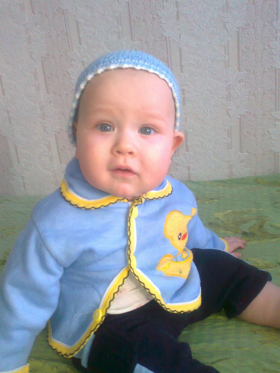 Вячеслав Молодченко | Житомир