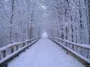 Ирина Ермольчева, Самара, Россия, 
