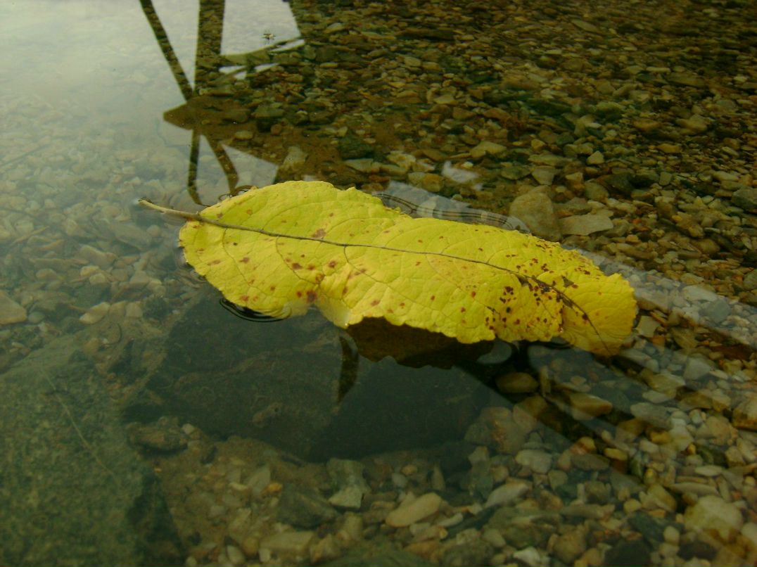 Роман Ермаков | Прокопьевск