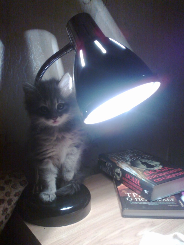 Юра Картавцев | Харьков