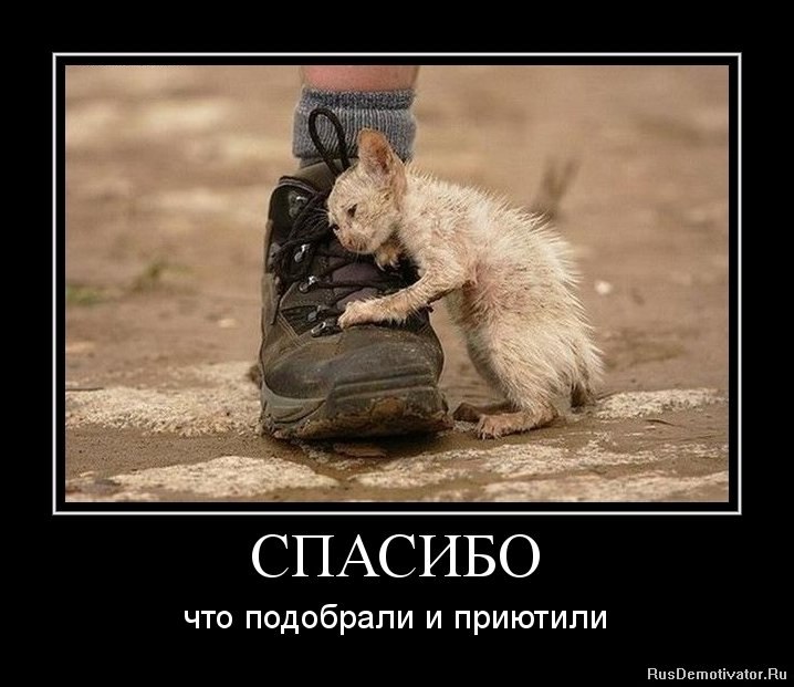 Татьяна Бубнова | Петрозаводск