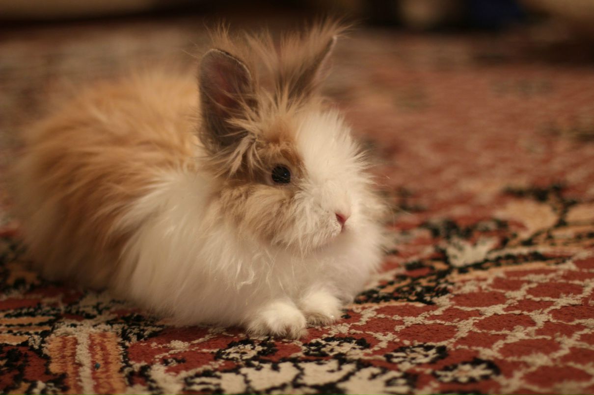 Анастасия Дорошко | Екатеринбург