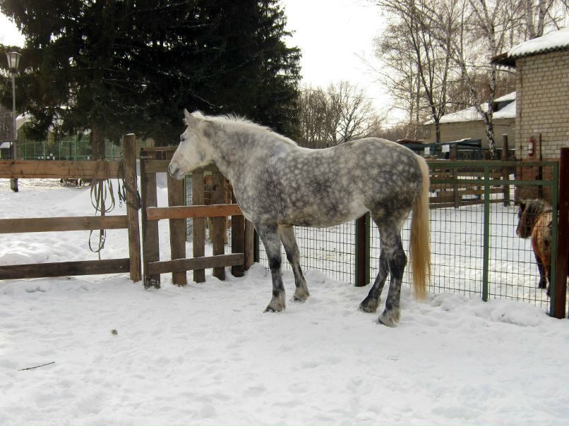 Lena Hotina | Харьков