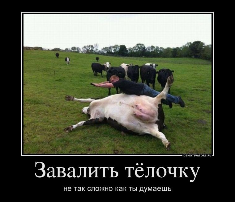 Юрий Стёпин | Тула