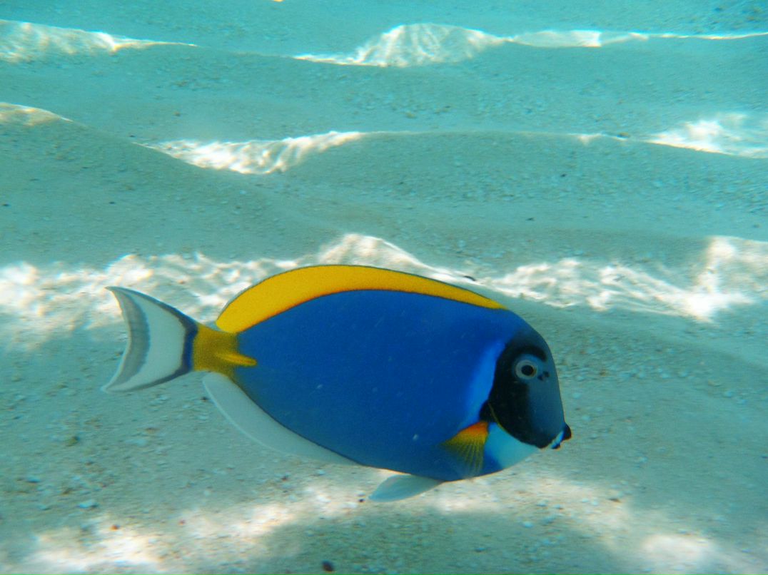 Дмитрий Чубов | Москва