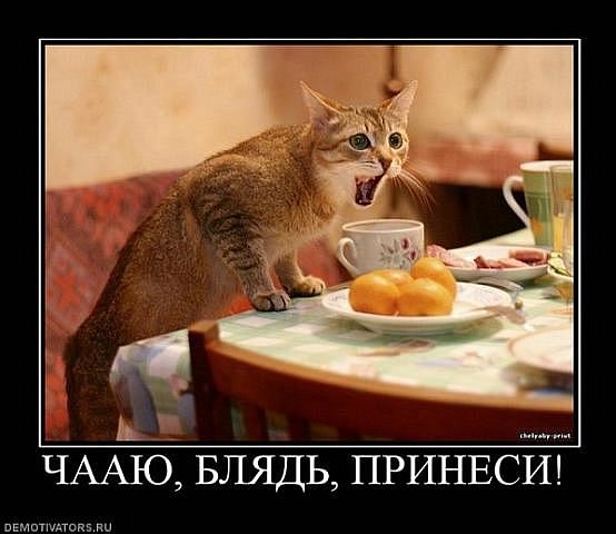 Саня Шаптала | 