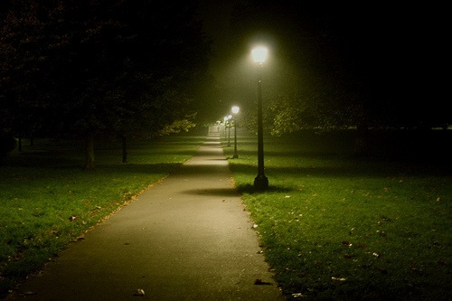 №46, Alina Teslo №46, Alina Teslo