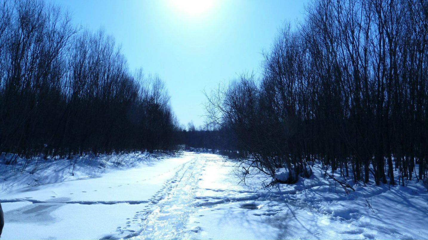 Тарас Вишняк | Новокузнецк