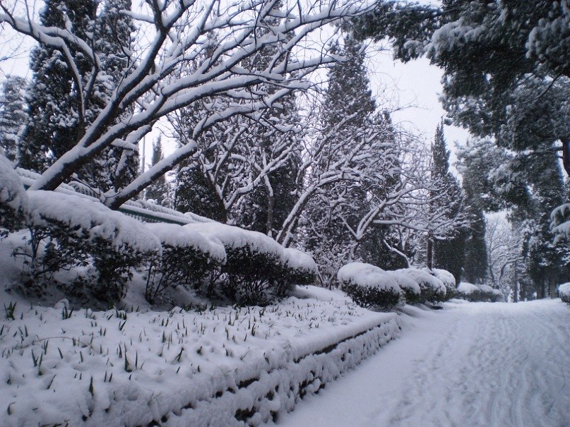 Татьяна Лыткина Викторовна | Йошкар-Ола