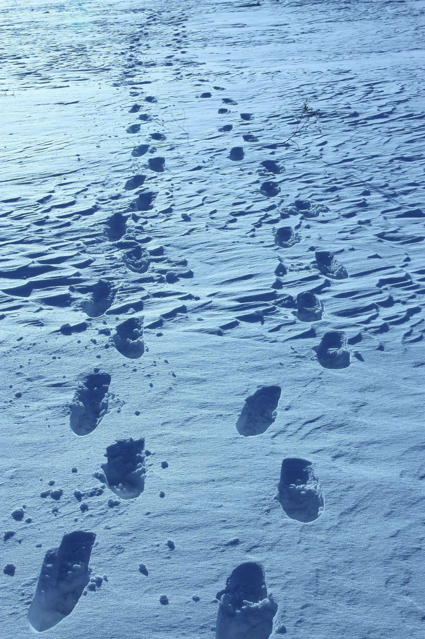 Вера Кондратьева | Москва