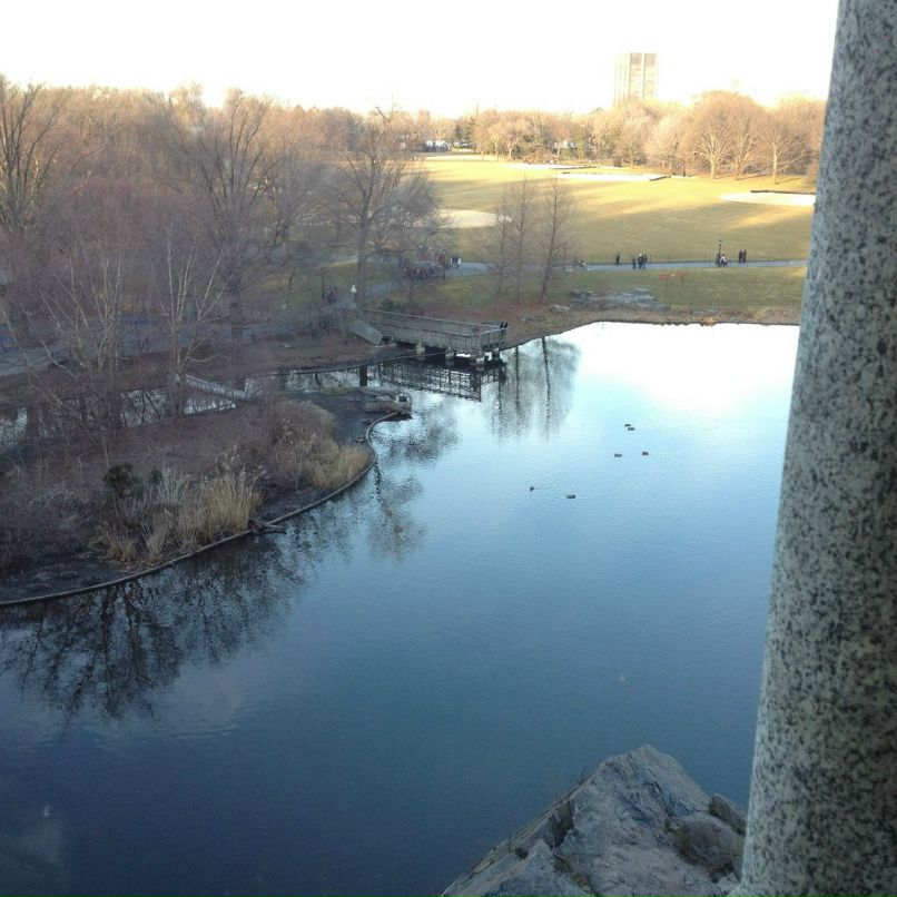 Ксения Зобачева | New York City