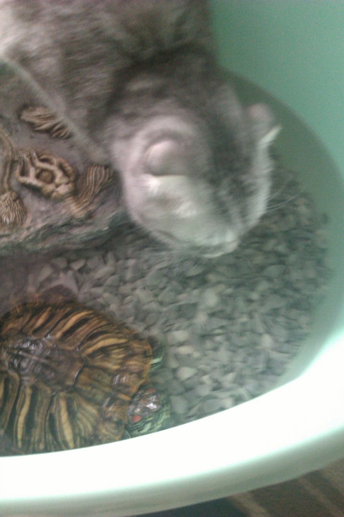 Ксеня Авдеева | Москва