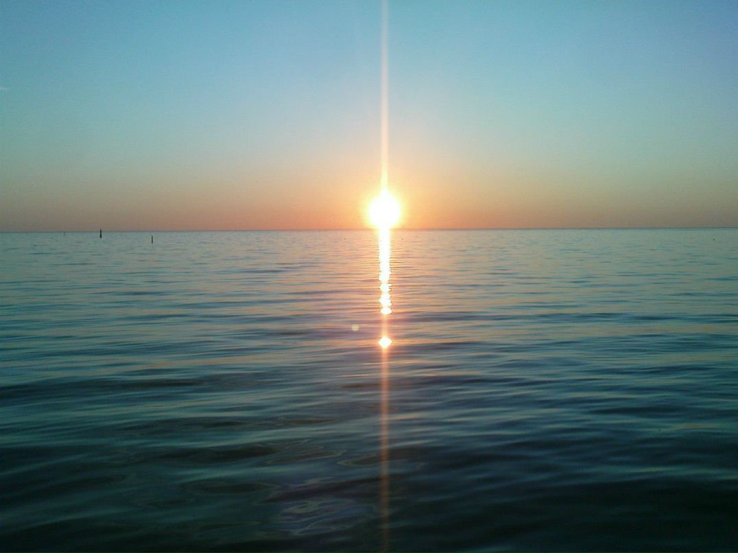 Polkin Philips | Klintehamn