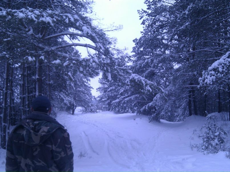 Анастасия Велесова | Минск