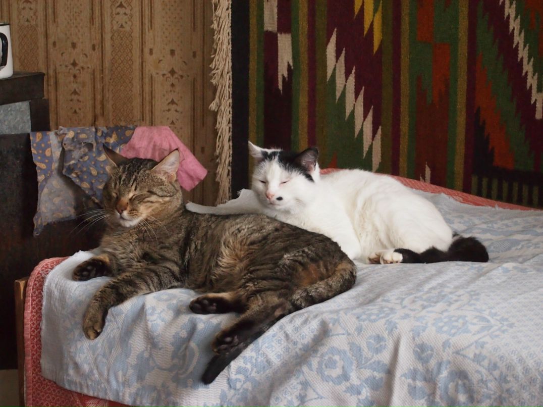 Anna Berman | Санкт-Петербург